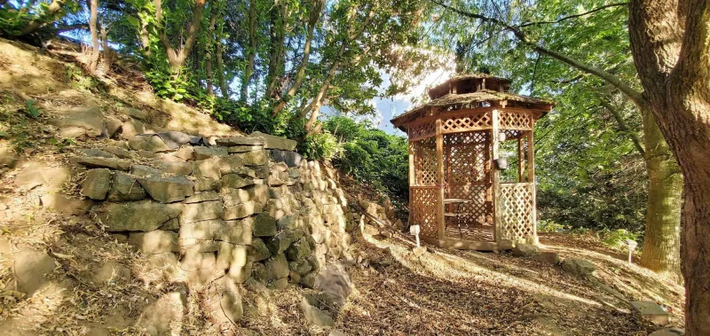 35618 Dina Place Gazebo